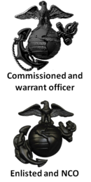US Marine Corps Insignias-Subdued.png