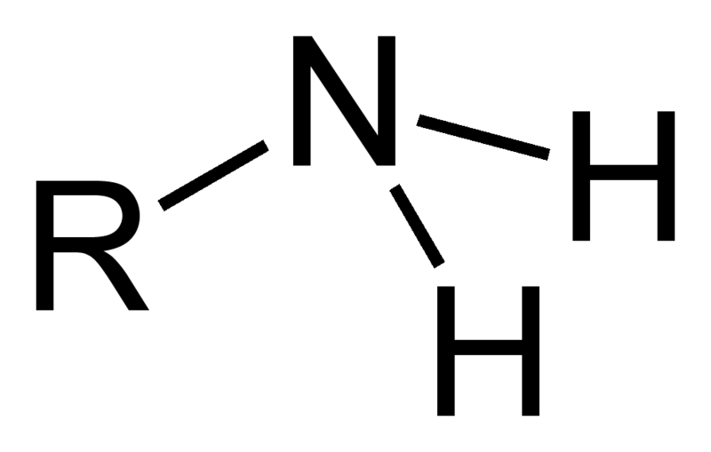 File:1°-amino-group.png