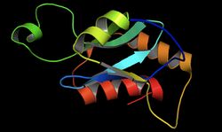ADPLA protein structure.jpg