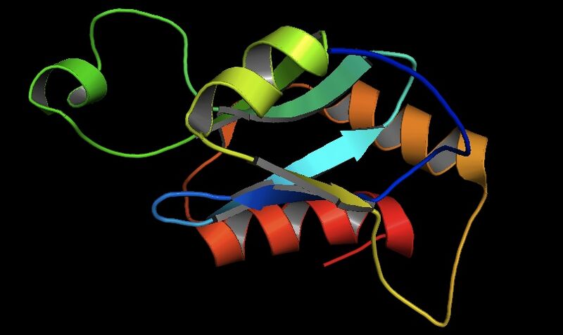 File:ADPLA protein structure.jpg