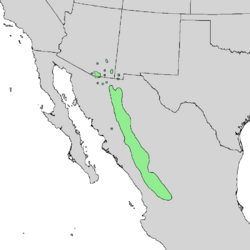 Arbutus arizonica range map 1.png