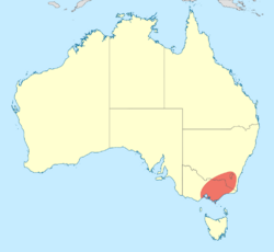 Austropetalia tonyana distribution map.svg