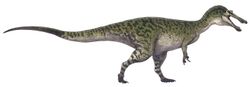 Colour drawing of a long-tailed dinosaur walking on its hind legs