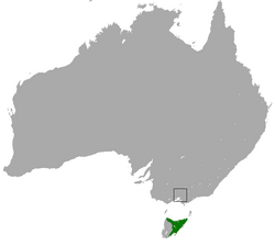 Eastern Barred Bandicoot area.png