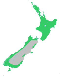 Kahikatea-natural-range.png