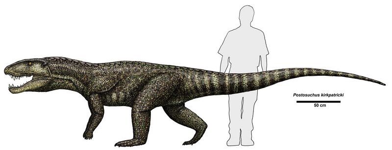 File:Postosuchus kirkpatricki.jpg