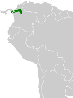 Psarocolius guatimozinus map.svg