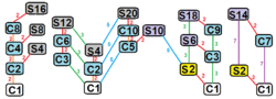 Rotoreflection subgroup tree.png