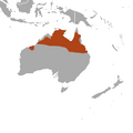 Spectacled Hare Wallaby area.png