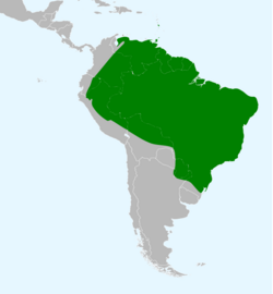Sporophila angolensis map.svg