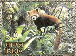 Stamp showing a red panda in a tree with some Hindi writing