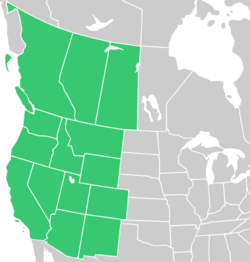 Symphyotrichum eatonii distribution shaded green: Canada — Alberta, British Columbia, and Saskatchewan; US — Arizona, California, Colorado, Idaho, Montana, Nevada, New Mexico, Oregon, Utah, Washington, and Wyoming.