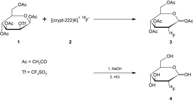 File:Synthesis of 18FDG.png