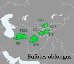Area of the Bufotes oblongus (Central Asian toad-frog).png