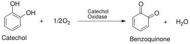 File:Catechol-Quinone.svg