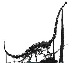 Chuanjiesaurus fossil in China Science and Technology Museum.jpg