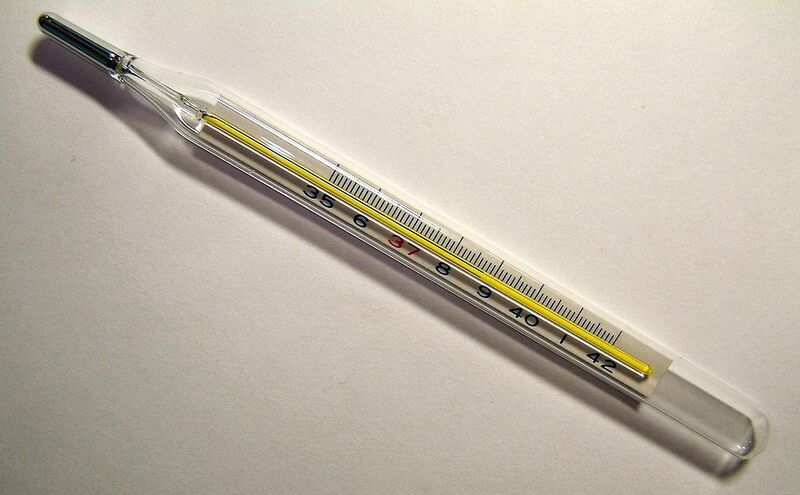 File:Clinical thermometer 38.7.JPG