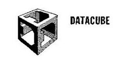 Datacube Inc Logo and name.jpg