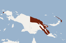Distribution of Nyctophilus microtis.png