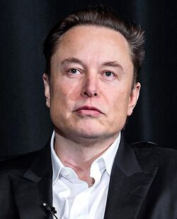 Photograph of Elon Musk's head