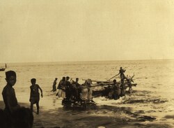 KITLV A1154 - Een vissersbootje (tena) wordt op het strand getrokken te Lamalerap op Poelau Lomblen, KITLV 75237.tiff