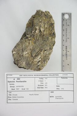 Pentlandite with Pyrrhotite and Chalcopyrite (47700373082).jpg