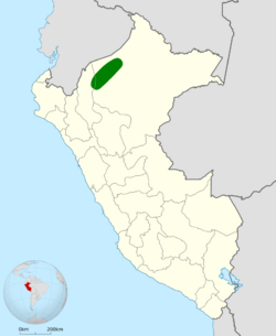 Pithys castaneus map.svg