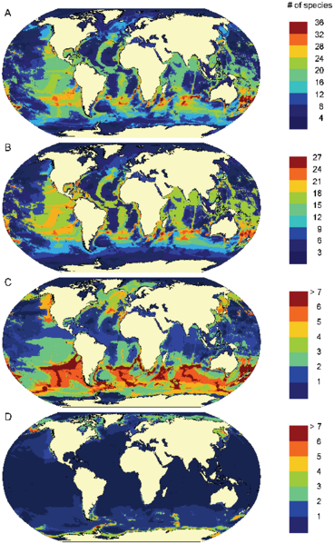 File:Predicted patterns of marine mammal species richness.png