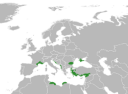 Ruta graveolens distribution.svg