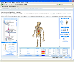 Anatomography screenshot