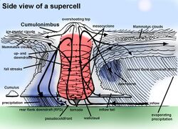 Supercell side view.jpg