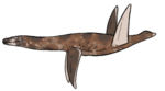 Umoonasaurus demoscyllus.png