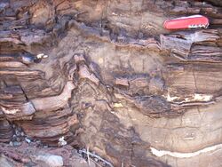 Warawoona stromatolites 3.4 Ga jgrotzinger.jpg