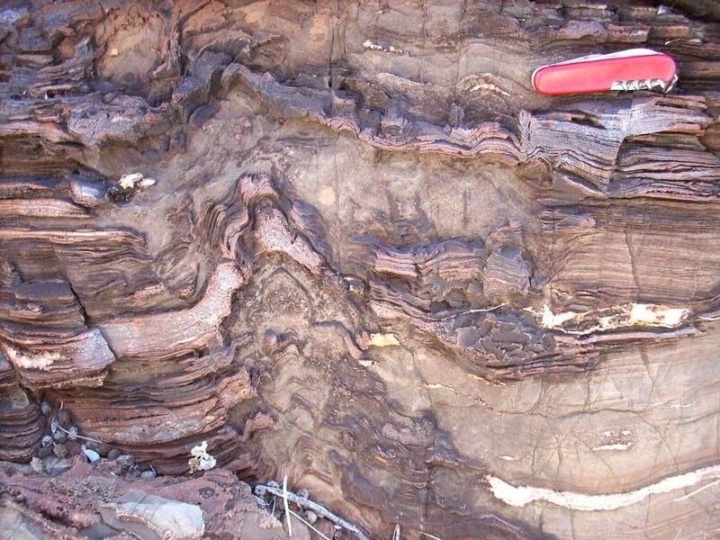 File:Warawoona stromatolites 3.4 Ga jgrotzinger.jpg