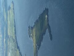 Aerial image of Langness Peninsular, Isle of Man.jpg