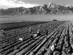 A black-and-white photograph shows farm workers with Mt. Williamson in background.