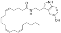 Arachidonoyl serotonin.svg