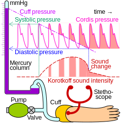 Blood pressure measurement principle.svg
