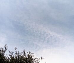 Cirrocumulus lacunosus cloud.jpg