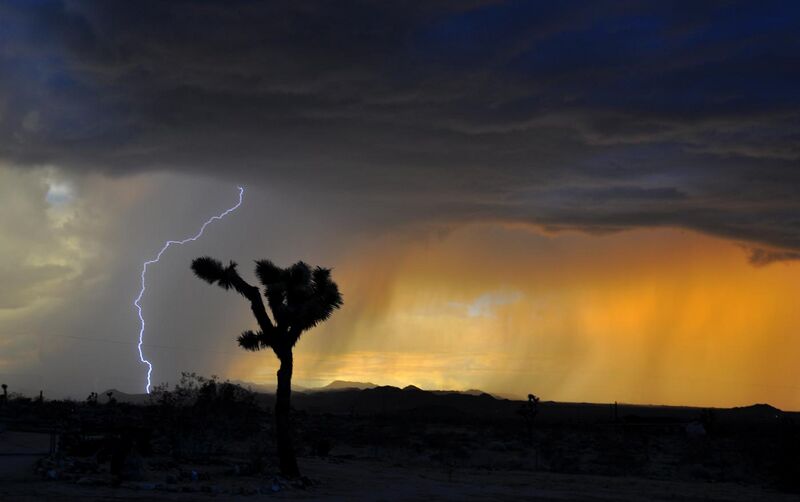 File:Desert Electric.jpg