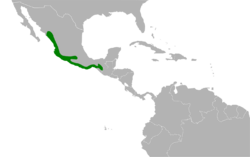 Granatellus venustus map.svg
