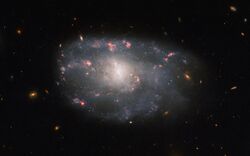 NGC5486 - HST - Potw2310a.jpg