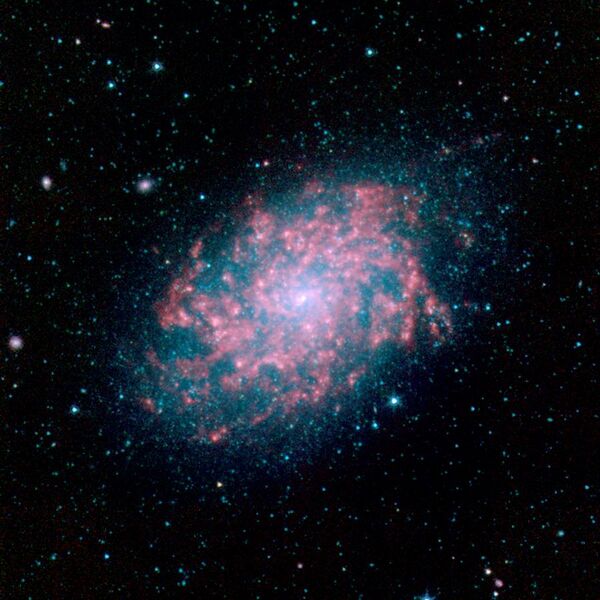 File:NGC 7793SpitzerFull.jpg