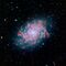 NGC 7793SpitzerFull.jpg