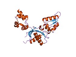 PDB 1jn3 EBI.jpg