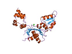 PDB 1zqv EBI.jpg