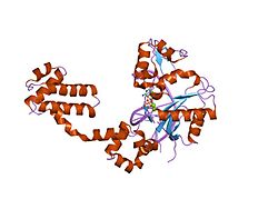 PDB 2bpf EBI.jpg