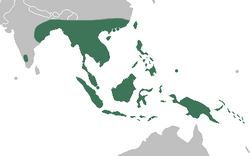 Paphiopedilum distribution map.png