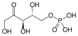 Ribulose 5-phosphate.svg