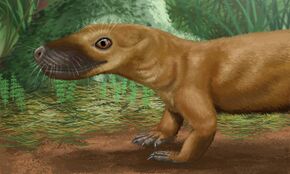 Silphedosuchus orenburgensis.jpg